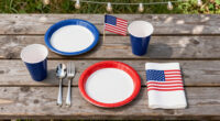 15 Best Patriotic Outdoor Party Supplies in 2026