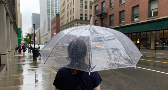 Rain In Chicago In Jul 2026?