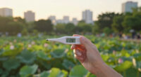 Will The Lowest Temperature In Seoul Be 28°C On July 12?